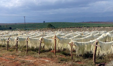 sisal artesano-esparto