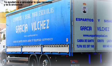 transporte